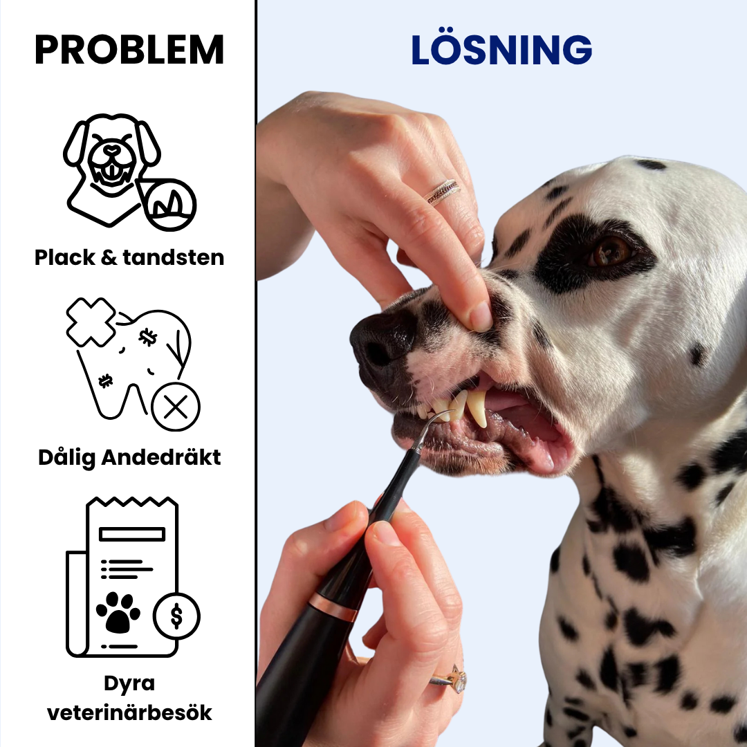 PawSmile - Din hund förtjänar friska tänder!