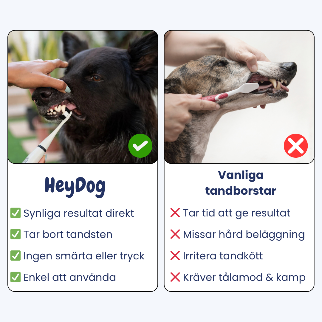 PawSmile - Din hund förtjänar friska tänder!
