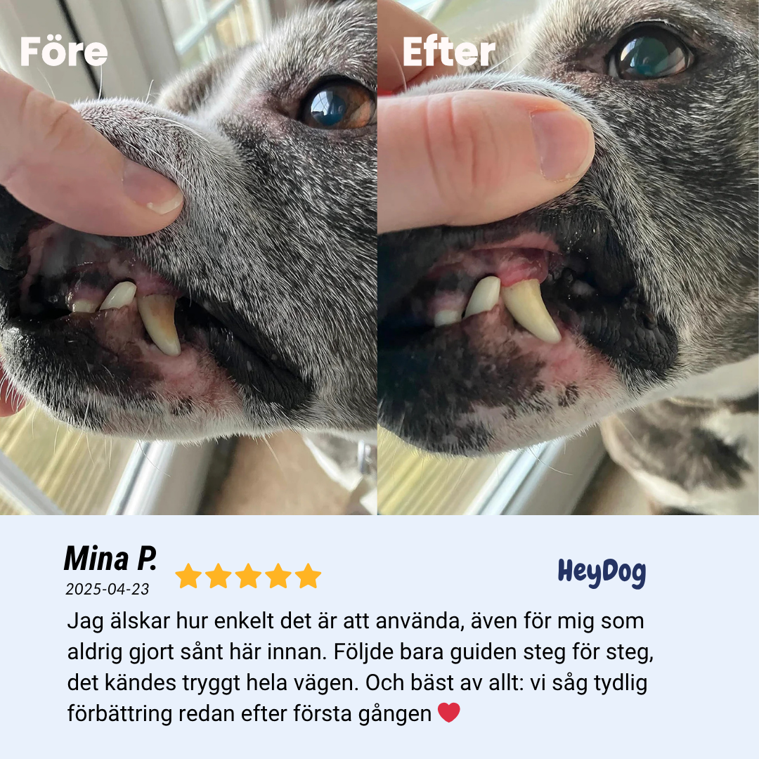 PawSmile - Din hund förtjänar friska tänder!
